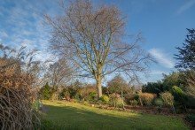 Blick in den Garten Hier ist ein Wohnen bis ins hohe Alter m�glich! Sch�ner Bungalow mit gro�em Grundst�ck